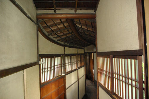 IMGP0472.JPG