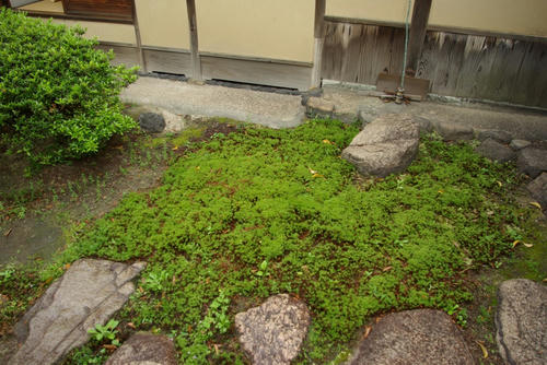 IMGP0002.JPG