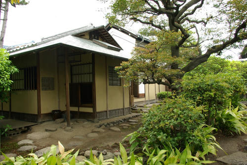 IMGP0499.JPG