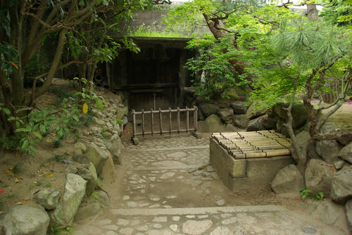 IMGP0492.JPG