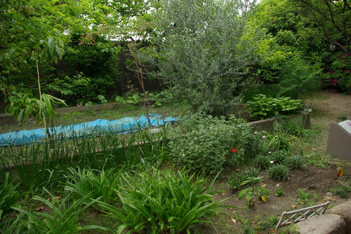 IMGP0486.JPG