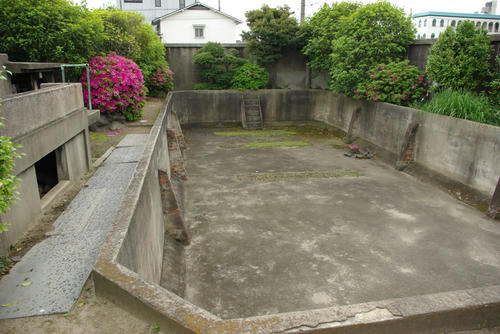 IMGP0483.JPG
