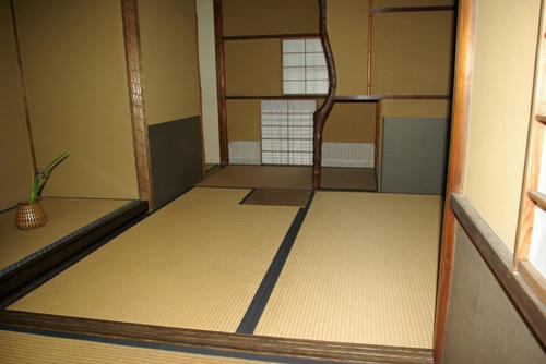 IMGP0502.JPG