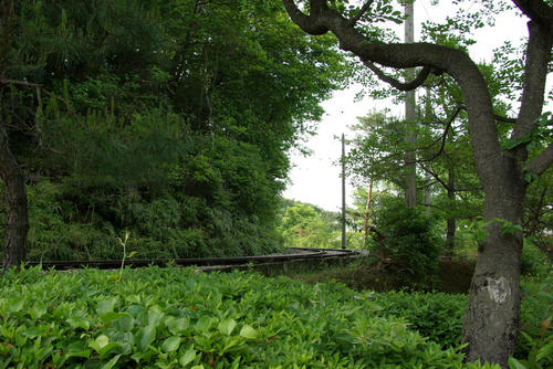 IMGP0384.jpg