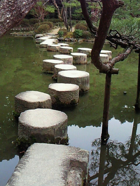 NEC_0187.jpg