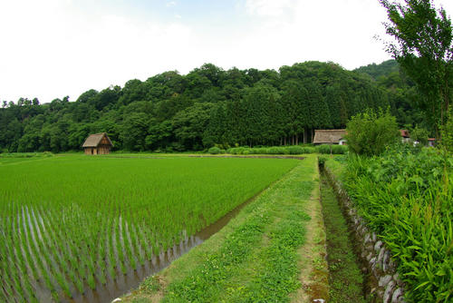 IMGP0398.jpg