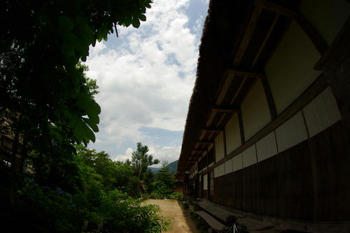 IMGP0126.jpg