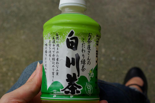 IMGP0200.jpg
