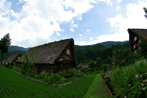 IMGP0179.jpg
