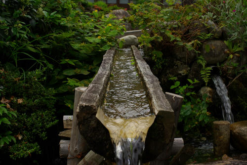 IMGP0216.jpg