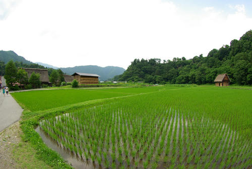 IMGP0401.jpg