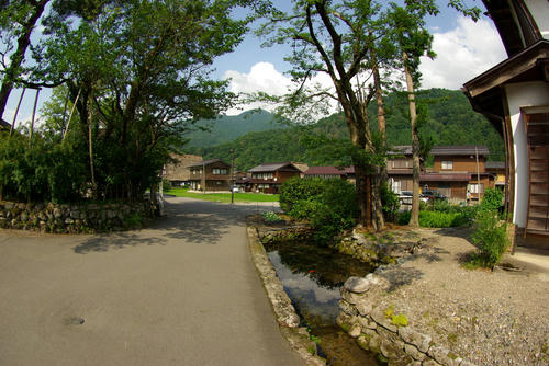 IMGP0502.jpg