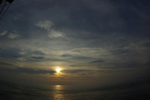 IMGP0156.jpg