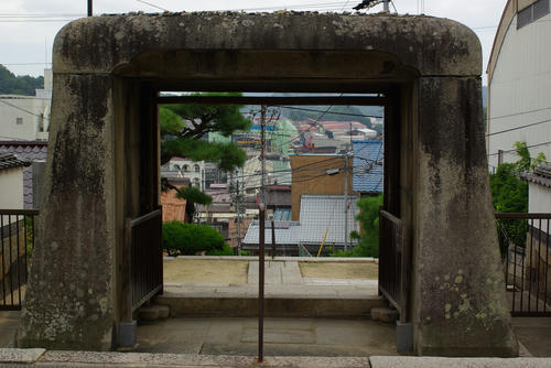 IMGP0145.jpg