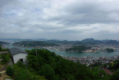 IMGP0290.jpg