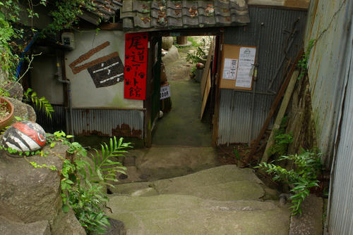 IMGP0380.jpg