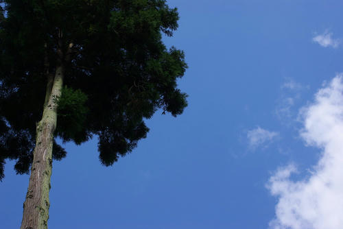 IMGP0238.jpg