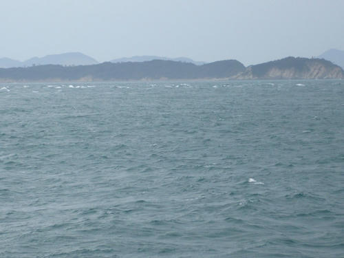 P1000641.JPG