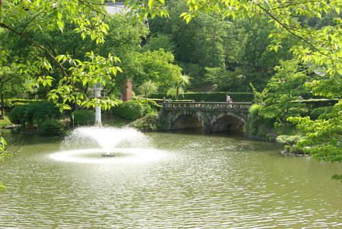 IMGP0371.jpg