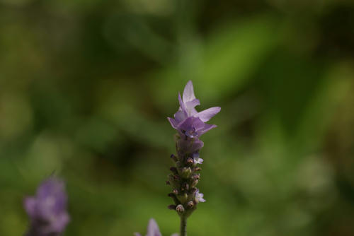 eb6351f5.jpg