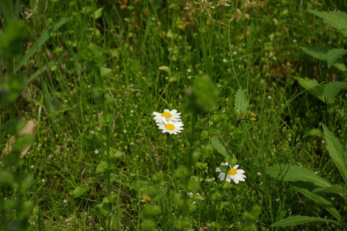 d79c217e.jpg