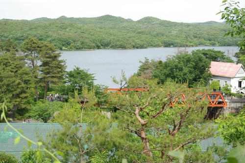 IMGP0085.jpg