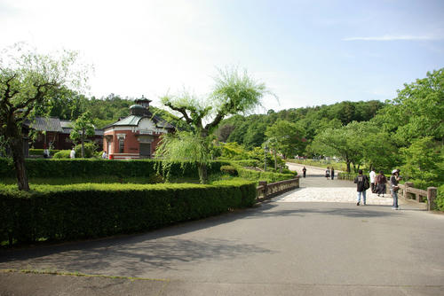 IMGP0282.jpg