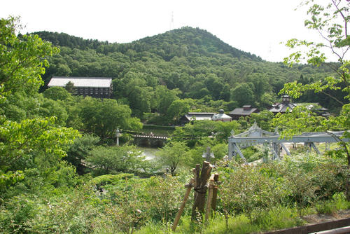 IMGP0358.jpg