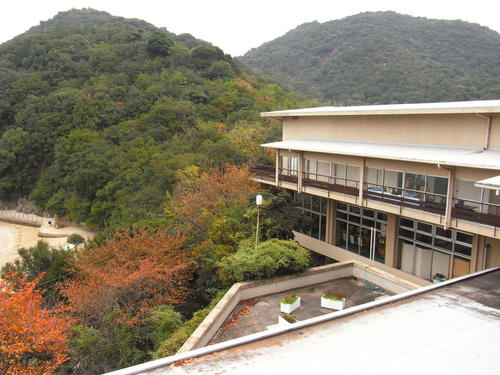 RIMG0176.jpg