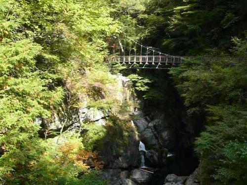 P1020041.JPG