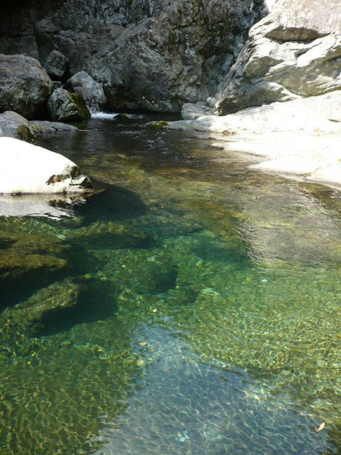 P1020053.JPG