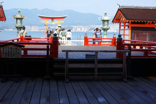 IMGP0220.jpg