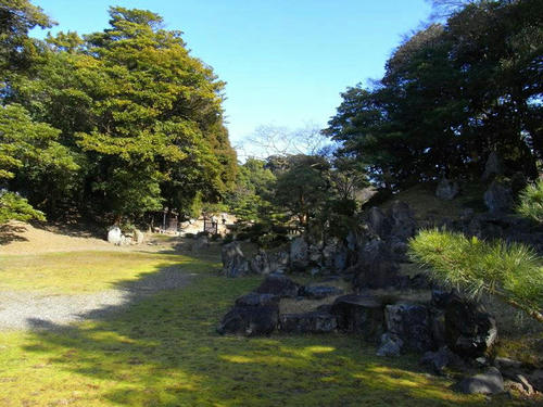 RIMG0089.JPG