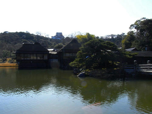 RIMG0113.JPG