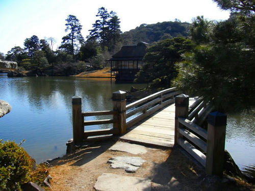 RIMG0110.JPG