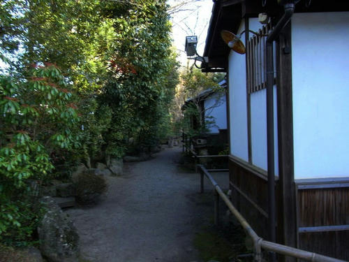 RIMG0165.JPG
