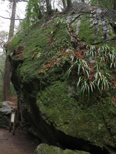 IMG_0966.JPG