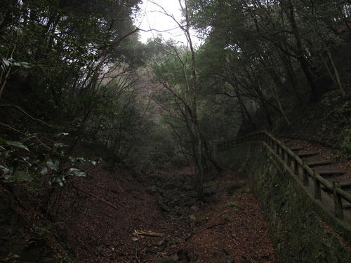 IMG_1093.JPG