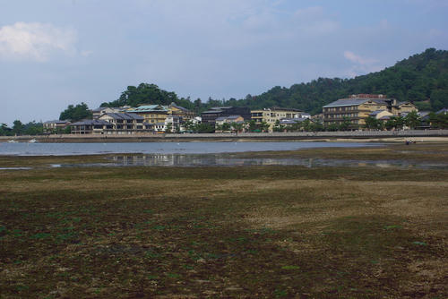 IMGP0322.jpg