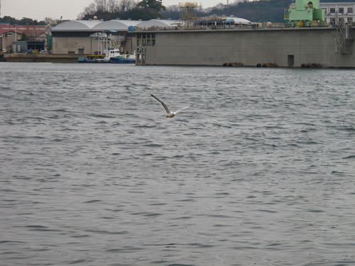 IMG_1981.jpg