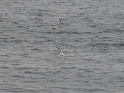IMG_1984.jpg