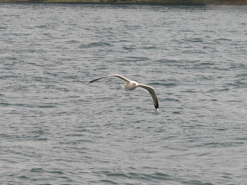 IMG_1999.jpg
