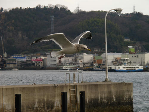 IMG_2041.jpg