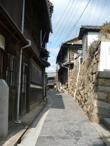 P1020384.JPG
