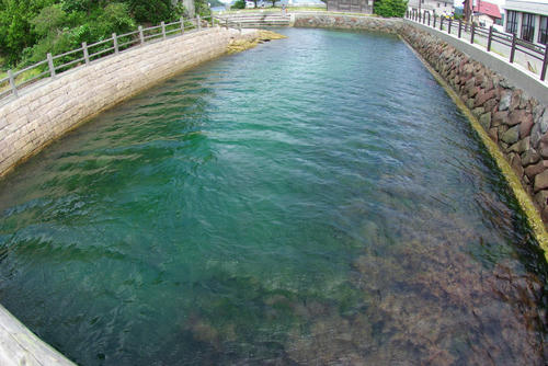 IMGP0486.jpg