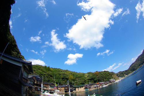 IMGP0319.jpg