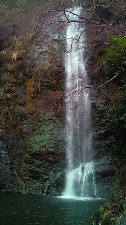 201001281447001.jpg