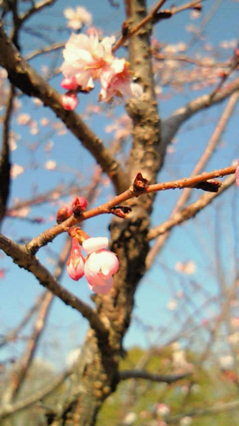 201001291454000.jpg
