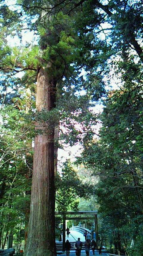201002061409000.jpg