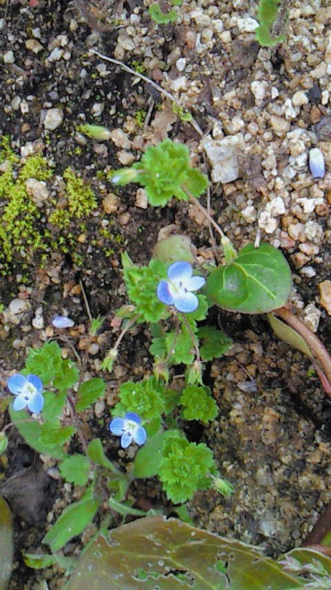 201003131133000.jpg